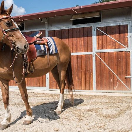 Agriturismo Goccia Di Luna ウンベルティデ エクステリア 写真