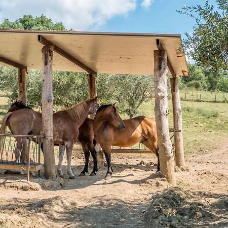 Agriturismo Goccia Di Luna ウンベルティデ エクステリア 写真