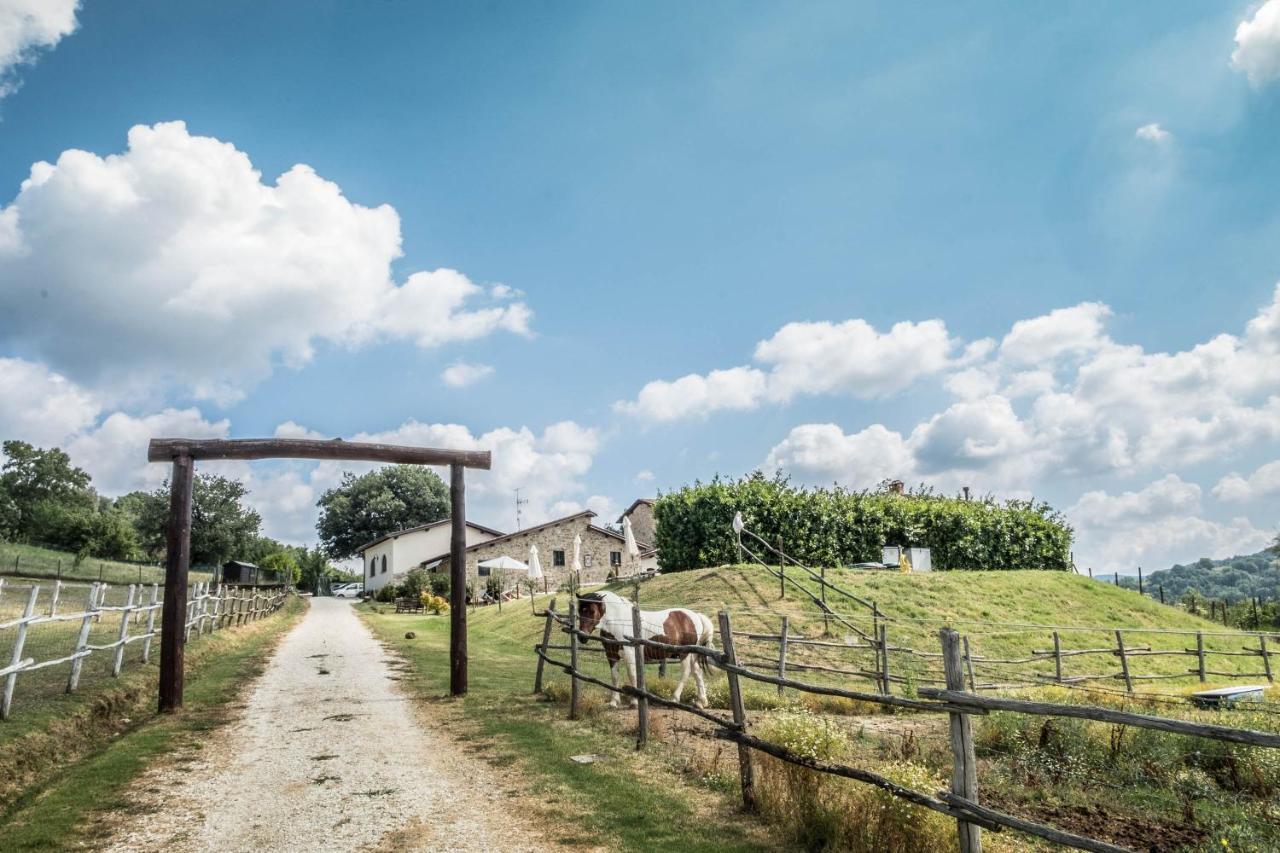 Agriturismo Goccia Di Luna ウンベルティデ エクステリア 写真