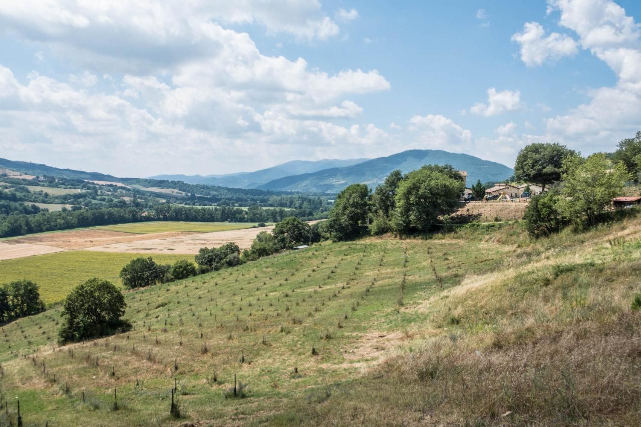 Agriturismo Goccia Di Luna ウンベルティデ エクステリア 写真