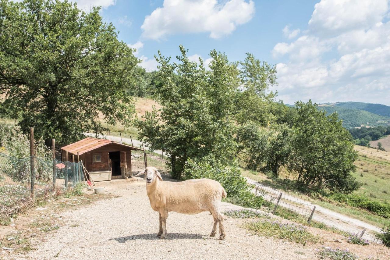 Agriturismo Goccia Di Luna ウンベルティデ エクステリア 写真