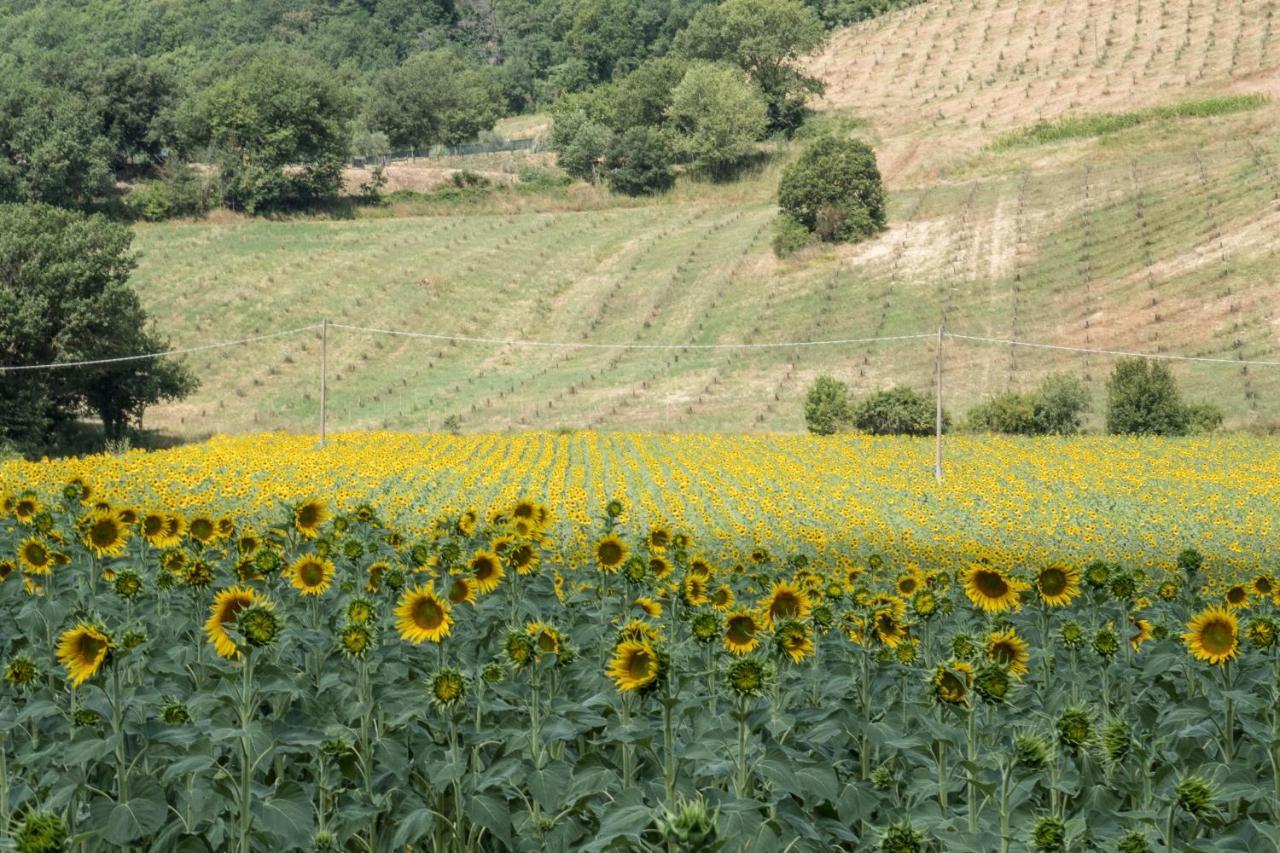 Agriturismo Goccia Di Luna ウンベルティデ エクステリア 写真