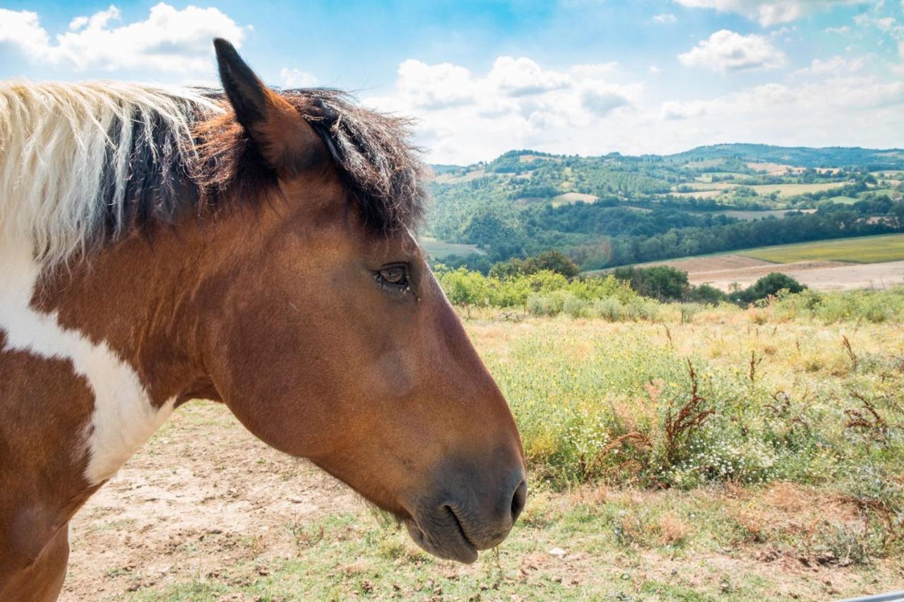 Agriturismo Goccia Di Luna ウンベルティデ エクステリア 写真