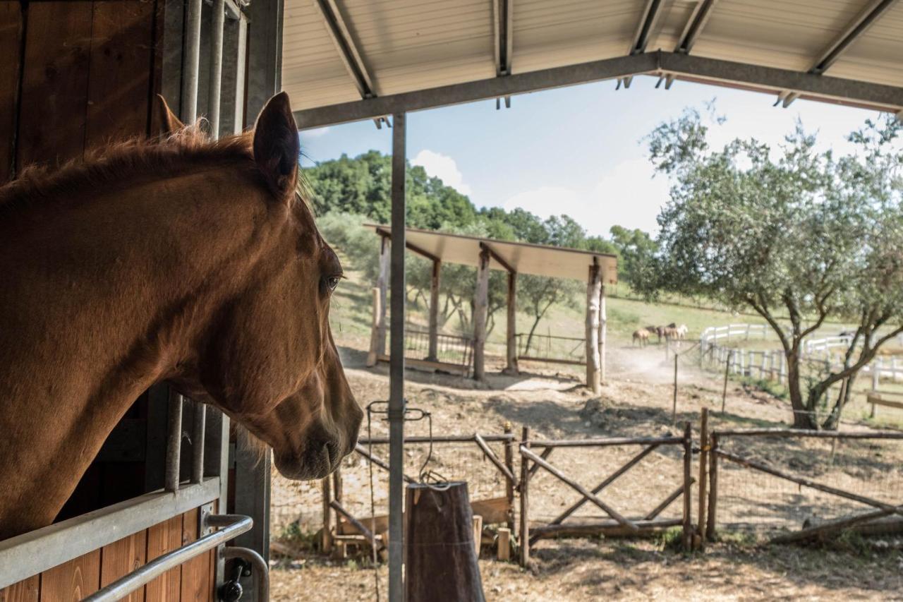 Agriturismo Goccia Di Luna ウンベルティデ エクステリア 写真