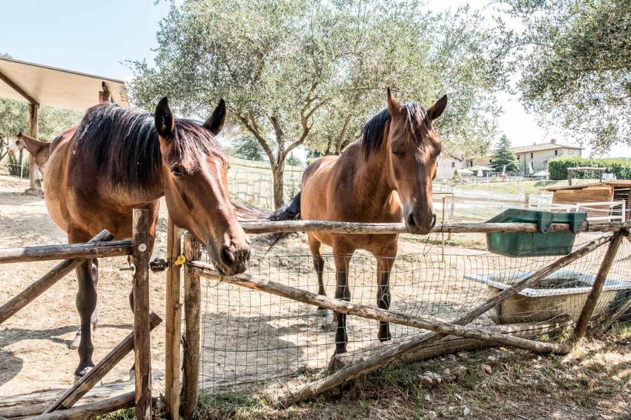 Agriturismo Goccia Di Luna ウンベルティデ エクステリア 写真