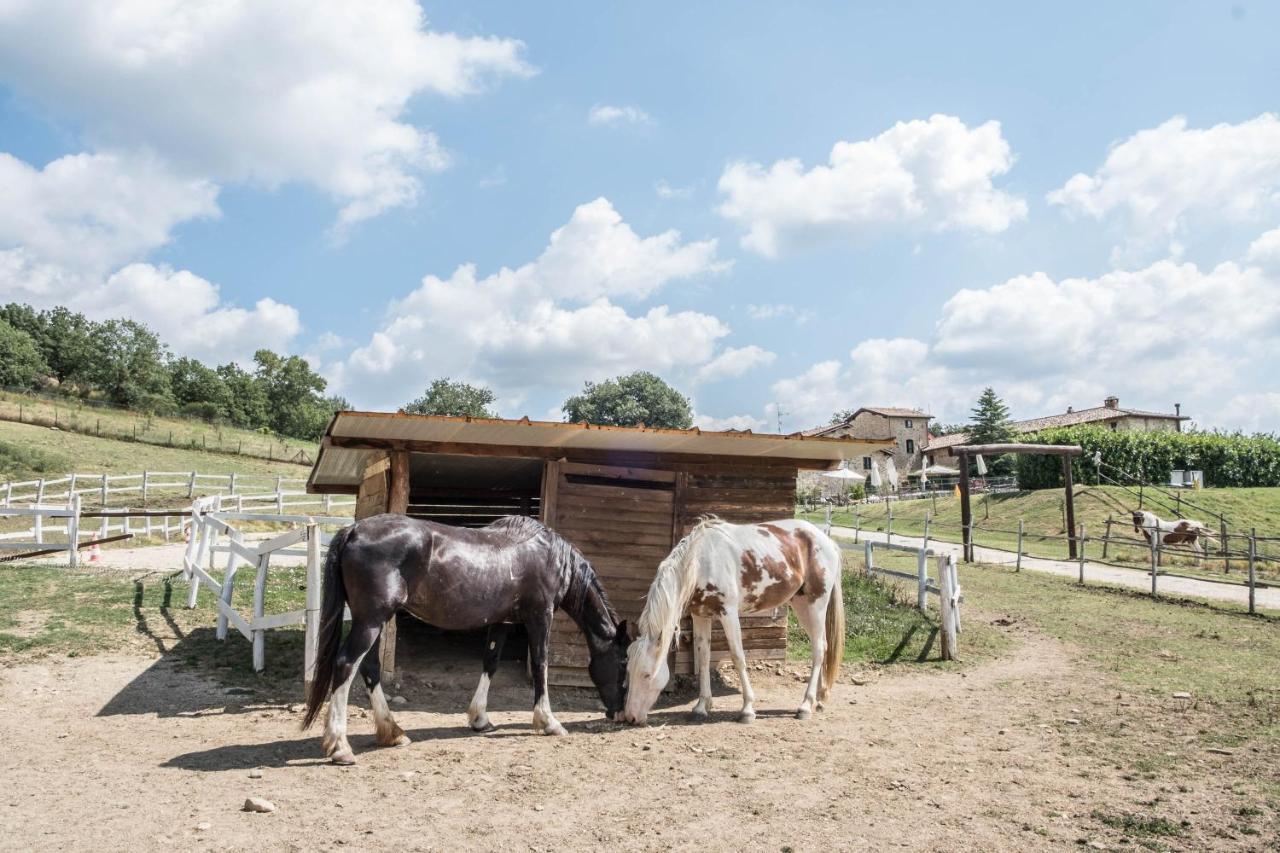 Agriturismo Goccia Di Luna ウンベルティデ エクステリア 写真